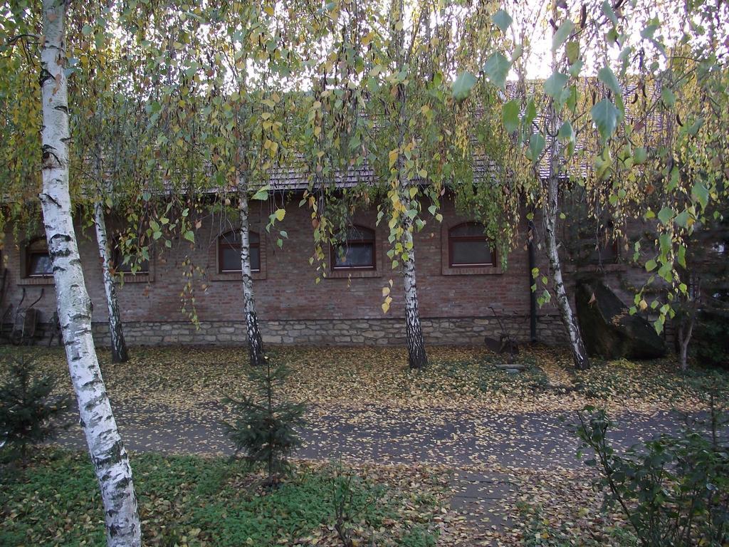 Szalma Vendégház Mogyorosbanya Exterior foto