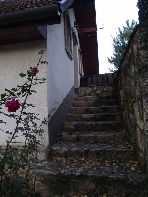 Szalma Vendégház Mogyorosbanya Exterior foto