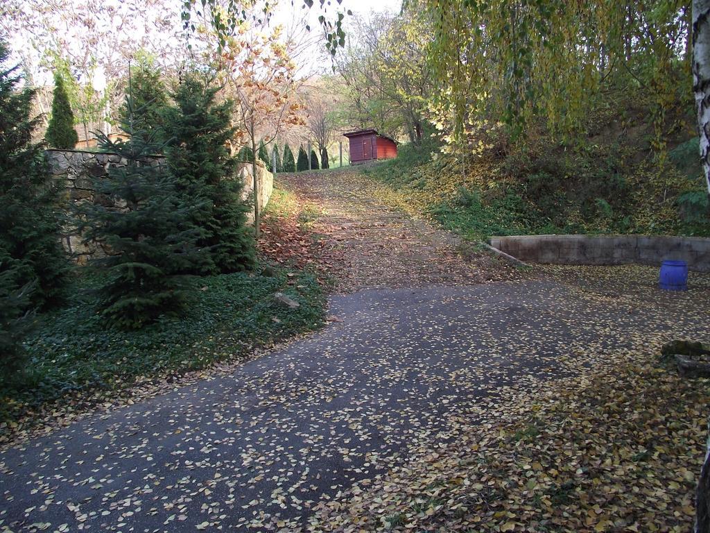 Szalma Vendégház Mogyorosbanya Exterior foto