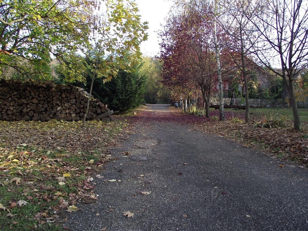 Szalma Vendégház Mogyorosbanya Exterior foto