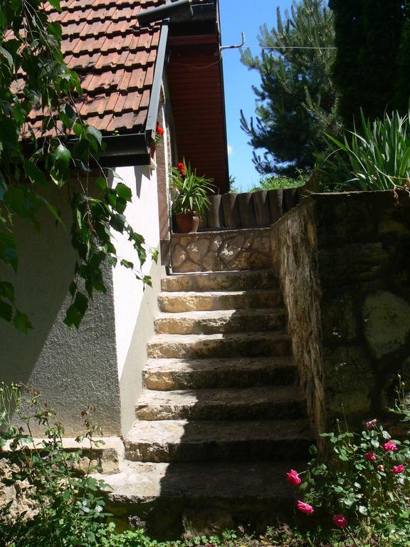 Szalma Vendégház Mogyorosbanya Exterior foto