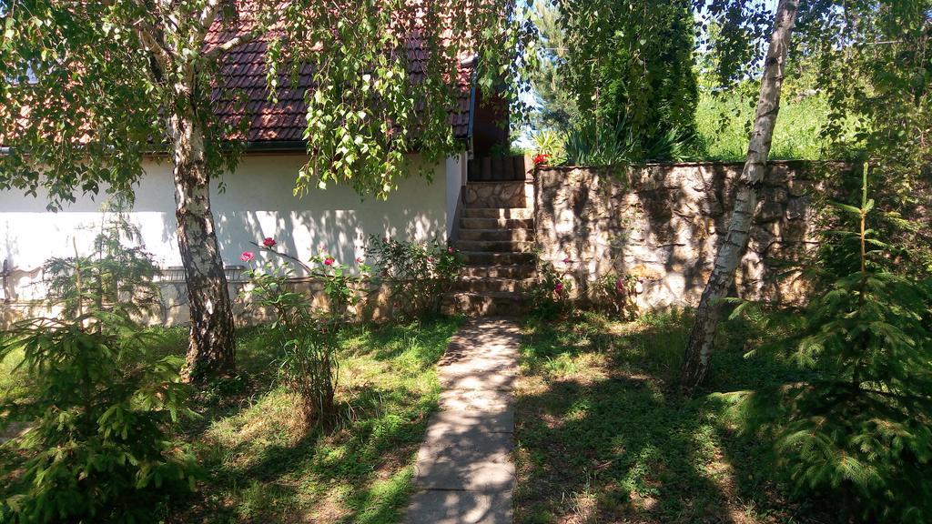 Szalma Vendégház Mogyorosbanya Exterior foto