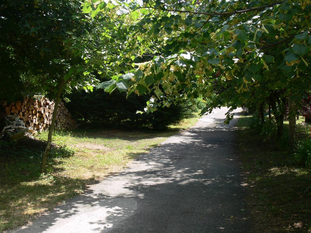 Szalma Vendégház Mogyorosbanya Exterior foto