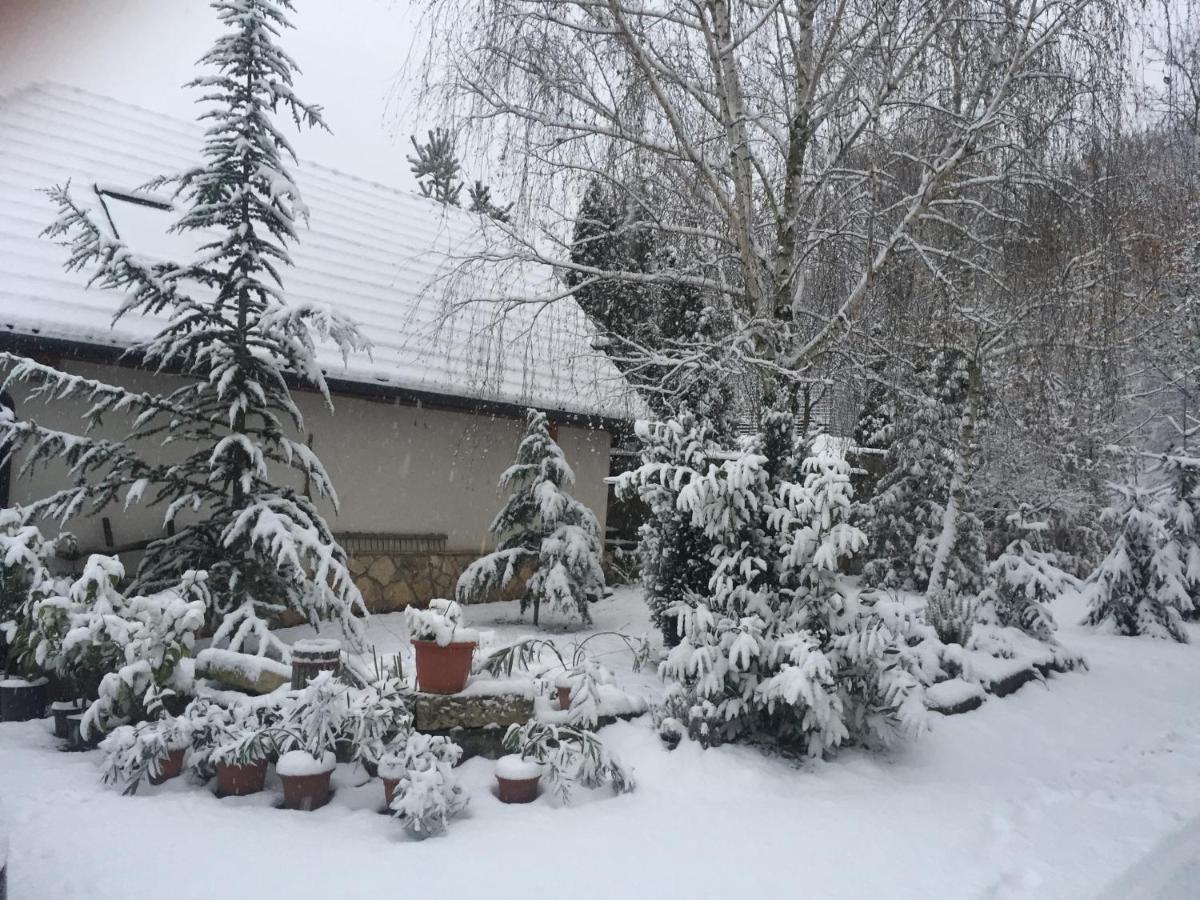 Szalma Vendégház Mogyorosbanya Exterior foto